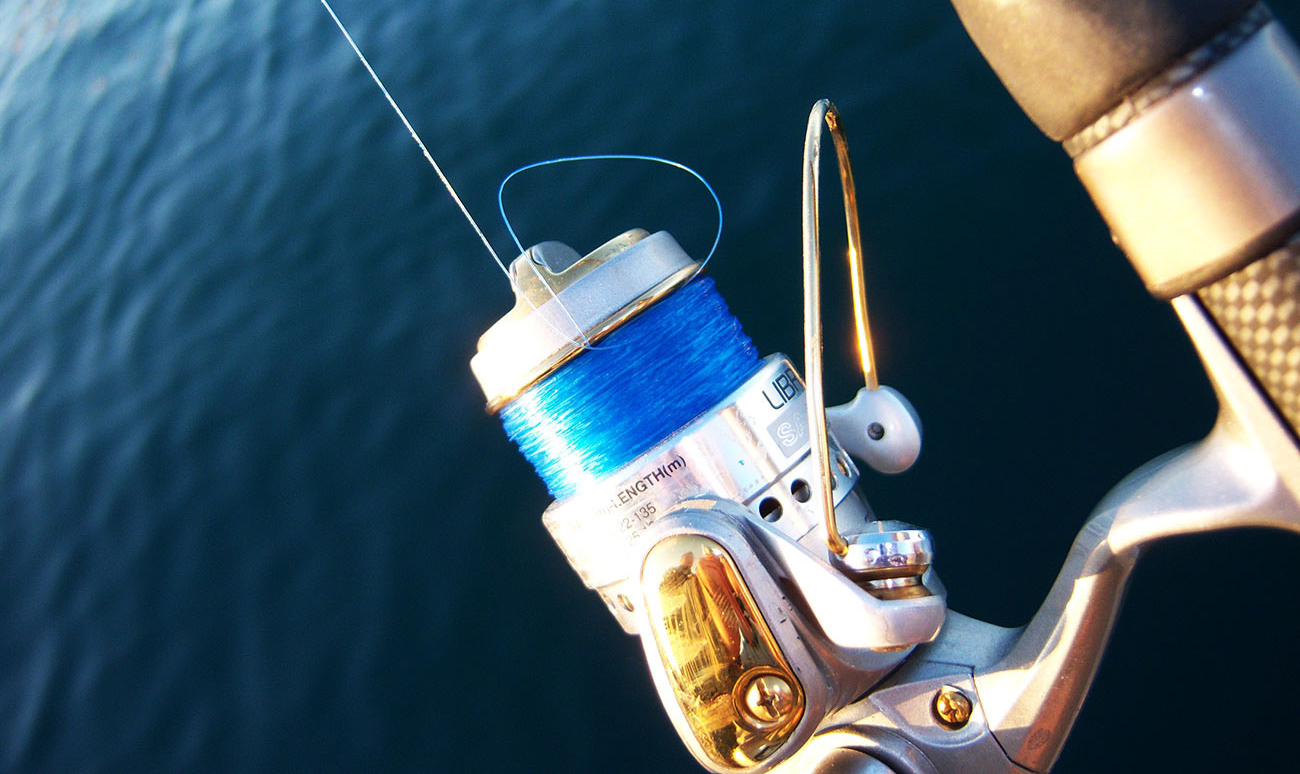 Best Spincast Fishing Reels
