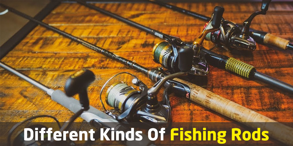 Different Kinds Of Fishing Rods