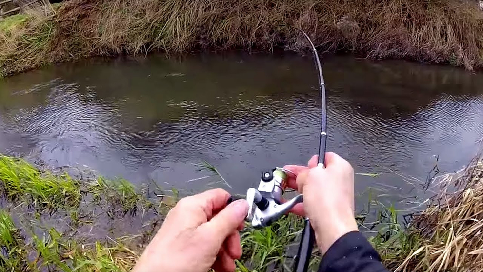 Best Micro Pen Fishing Rods