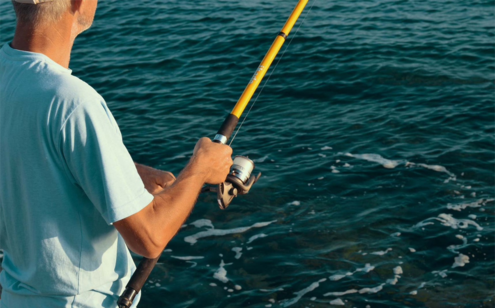 Best Saltwater Fishing Rods